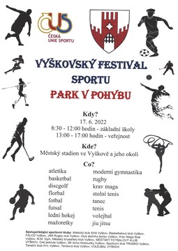 Vyškovský festival sportu - Park v pohybu 